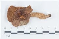 登錄號:F0038802藏品圖，第1張