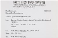 登錄號:F0038803藏品圖，第2張