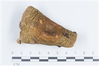 登錄號:F0038803藏品圖，第1張