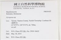 登錄號:F0038805藏品圖，第2張