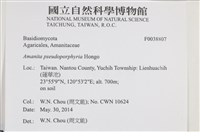 登錄號:F0038807藏品圖，第2張