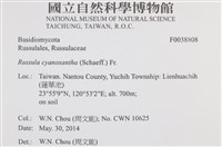 登錄號:F0038808藏品圖，第2張