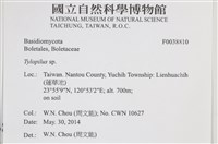 登錄號:F0038810藏品圖，第2張