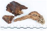 登錄號:F0038810藏品圖，第1張