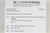 登錄號:F0038811藏品圖，第2張