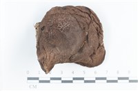 登錄號:F0038811藏品圖，第1張