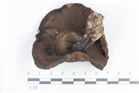 登錄號:F0038811藏品圖，第3張