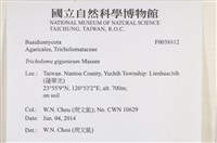 登錄號:F0038812藏品圖，第2張