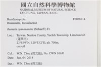 登錄號:F0038814藏品圖，第2張