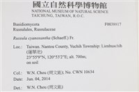 登錄號:F0038817藏品圖，第2張