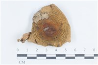 登錄號:F0038817藏品圖，第1張