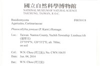 登錄號:F0038818藏品圖，第2張