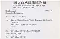 登錄號:F0038820藏品圖，第2張