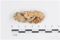 登錄號:F0038820藏品圖，第3張