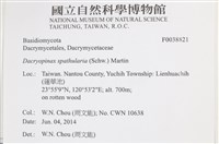 登錄號:F0038821藏品圖，第2張