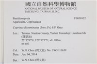 登錄號:F0038822藏品圖，第2張