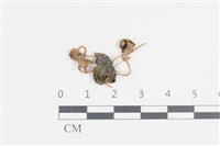 登錄號:F0038822藏品圖，第1張