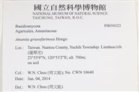 登錄號:F0038823藏品圖，第2張