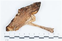 登錄號:F0038823藏品圖，第1張