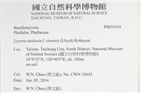 登錄號:F0038824藏品圖，第2張