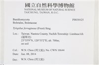 登錄號:F0038825藏品圖，第2張