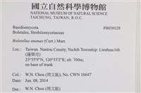 登錄號:F0038828藏品圖，第2張