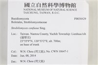 登錄號:F0038829藏品圖，第2張