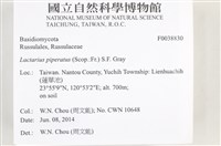 登錄號:F0038830藏品圖，第2張