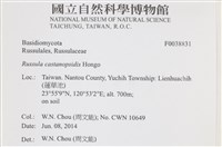 登錄號:F0038831藏品圖，第2張