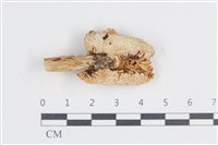 登錄號:F0038831藏品圖，第1張