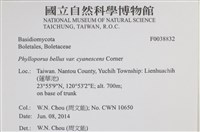 登錄號:F0038832藏品圖，第2張