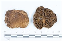 登錄號:F0038832藏品圖，第1張