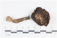 登錄號:F0038833藏品圖，第3張