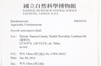 登錄號:F0038834藏品圖，第2張