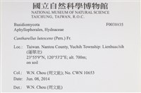 登錄號:F0038835藏品圖，第2張