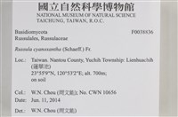 登錄號:F0038836藏品圖，第2張