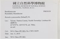 登錄號:F0038838藏品圖，第2張