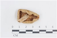 登錄號:F0038838藏品圖，第3張