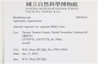 登錄號:F0038841藏品圖，第2張