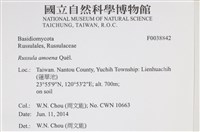 登錄號:F0038842藏品圖，第2張