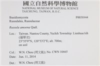 登錄號:F0038844藏品圖，第2張