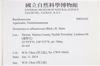 登錄號:F0038845藏品圖，第2張