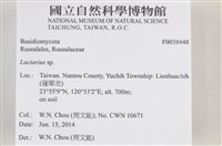 乳菇屬藏品圖，第2張