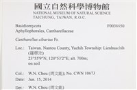 登錄號:F0038850藏品圖，第2張