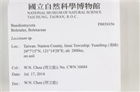 登錄號:F0038856藏品圖，第2張