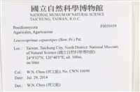 登錄號:F0038859藏品圖，第2張