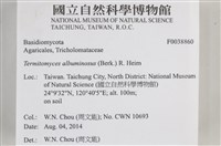 登錄號:F0038860藏品圖，第2張