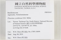 登錄號:F0038861藏品圖，第2張