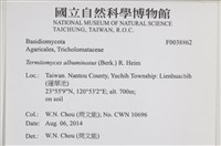 登錄號:F0038862藏品圖，第2張