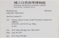 登錄號:F0038863藏品圖，第2張